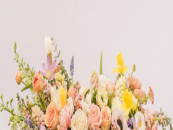 Rengarenk Çiçek Çeşitleri