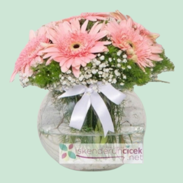 Fanusta Kırmızı Gerberala Resim 1