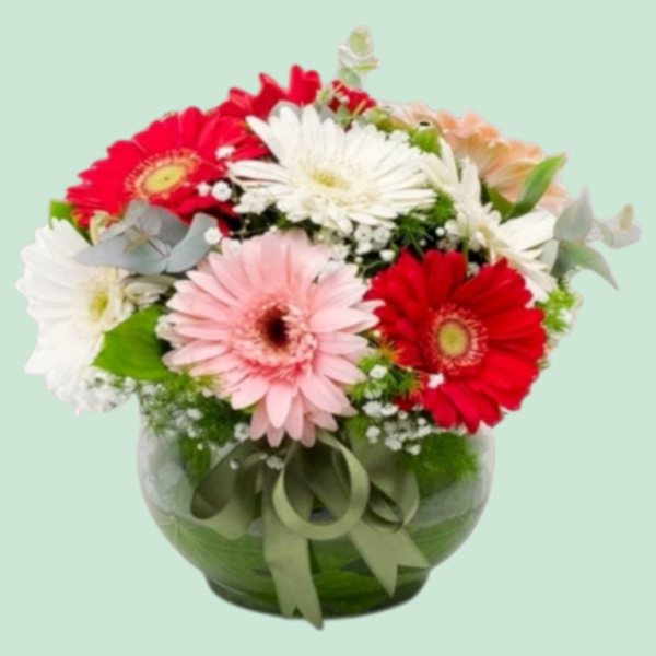 Fanusta renkli gerberalar Resim 1