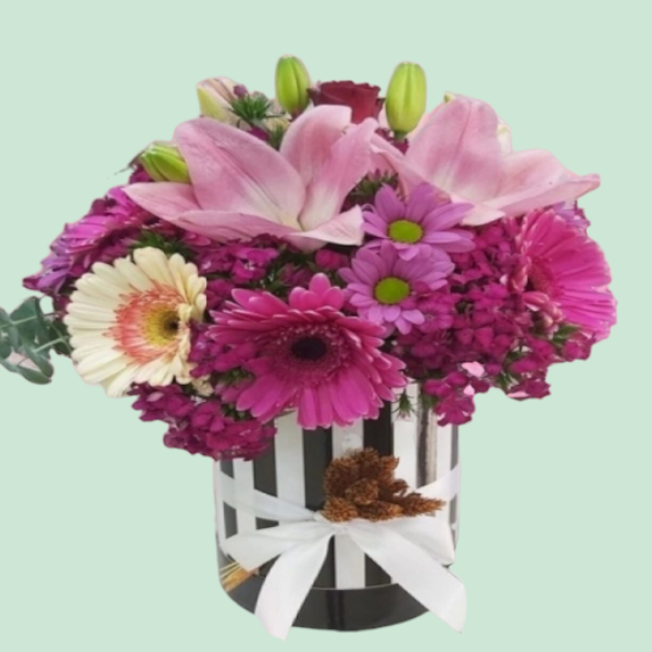 Kutuda Renkli Arajman Resim 1