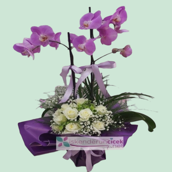 Mor Orkide Arajmanı Resim 1