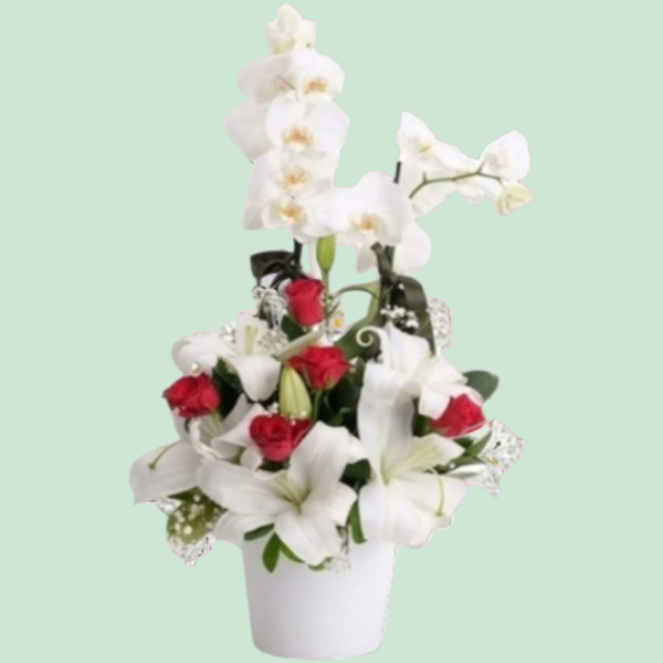 Tek dallı orkide arajman Resim 1