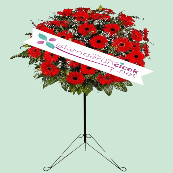 Perforje Kırmızı Gerberalar Resim 1