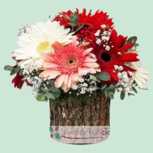  İskenderun Çiçekçiler - Doğal kütükte Renkli Gerberalar