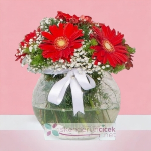  İskenderun Çiçekçiler - Fanusta Kırmızı Gerberalar