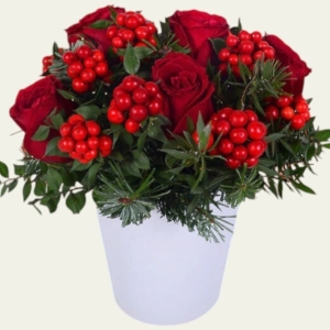  İskenderun Çiçek Gönder - Christmas Red