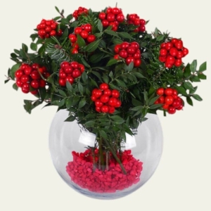  İskenderun Çiçek - Fanusta Kokinalar