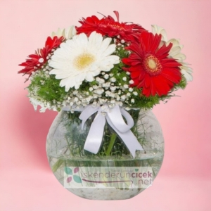  İskenderun Çiçek Gönder - Fanusta Kırmızı ve Beyaz Gerberalar