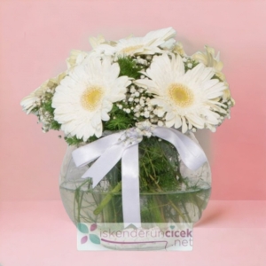  İskenderun Çiçekçiler - Fanusta Beyaz Gerberalar
