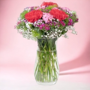  İskenderun Çiçek Gönder - Hüsnü yusuf ve karanfiller