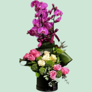 İskenderun Çiçekçi - Soft Romantica - Kutuda Mor Orkideli Aranjman