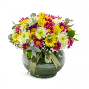 İskenderun Çiçekçi - Fanusta renkli papatyalar