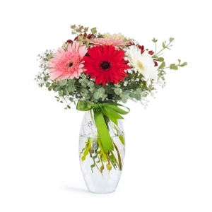  İskenderun Çiçek Siparişi - Paşabahçe vazoda Renkli Gerberalar