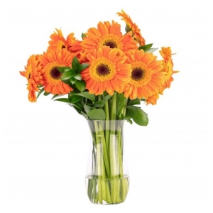 İskenderun Çiçekçi - vazoda turuncu gerberalar