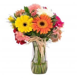  İskenderun Çiçek - Renkli gerberalar