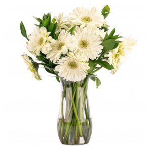  İskenderun Çiçek Siparişi - beyaZ gerberalar