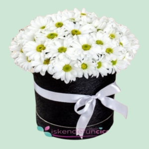  İskenderun Çiçek - Kutuda Papatyalar