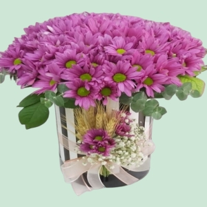  İskenderun Çiçekçiler - Kutuda Fuşya Papatyalar