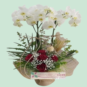 İskenderun Çiçekçi - Beyaz Orkide ve Gül