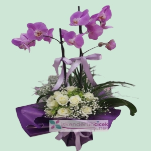 İskenderun Çiçekçi - Mor Orkide Arajmanı