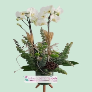  İskenderun Çiçekçiler - Dekoratif Seramik Vazoda Çift Dallı Orkide Arajmanı