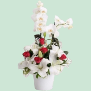 İskenderun Çiçekçi - Tek dallı orkide arajman