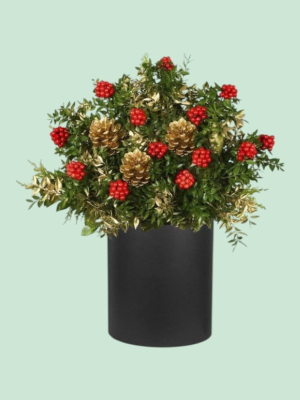  İskenderun Çiçek - Gold Box Coquinas