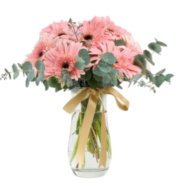 product-details