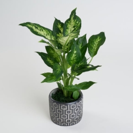 product-details